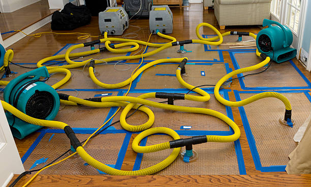 Professional Crawl Space Water Removal technician working in Elizabeth, NJ